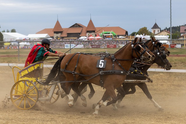 幾個賽季的 幾個賽季的