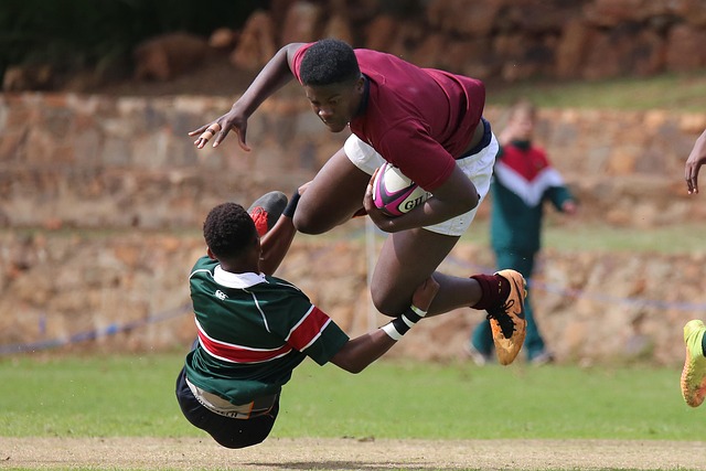 不仅吸引了 不仅吸引了