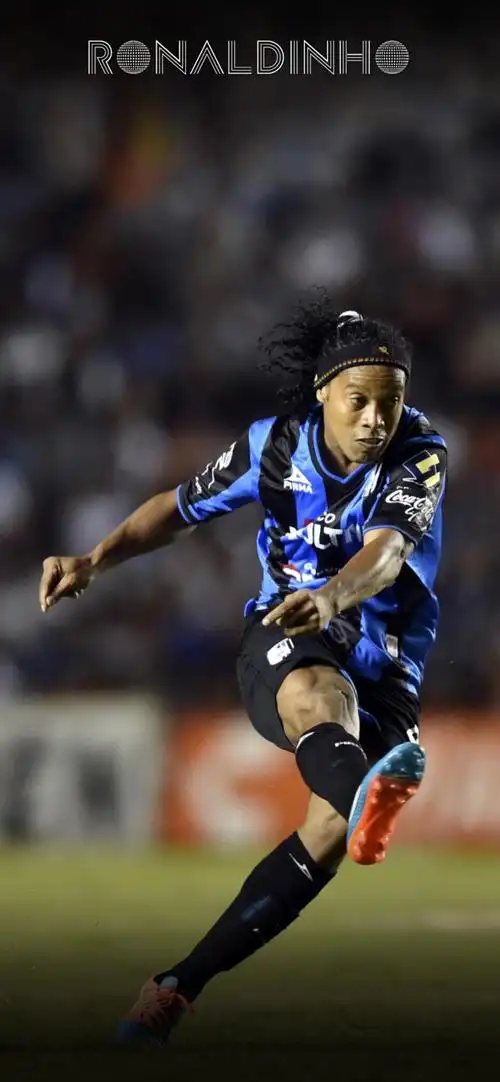 个人训练的 个人训练的